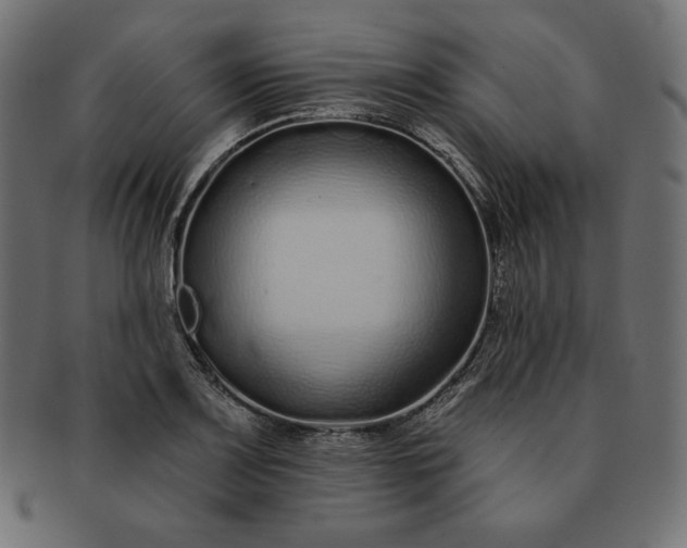 X0000091701083200709071343