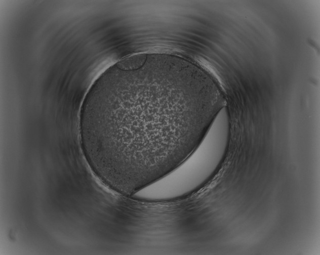 X0000091701087200709071343