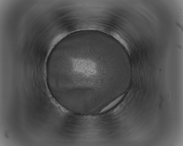 X0000091701088200709071343