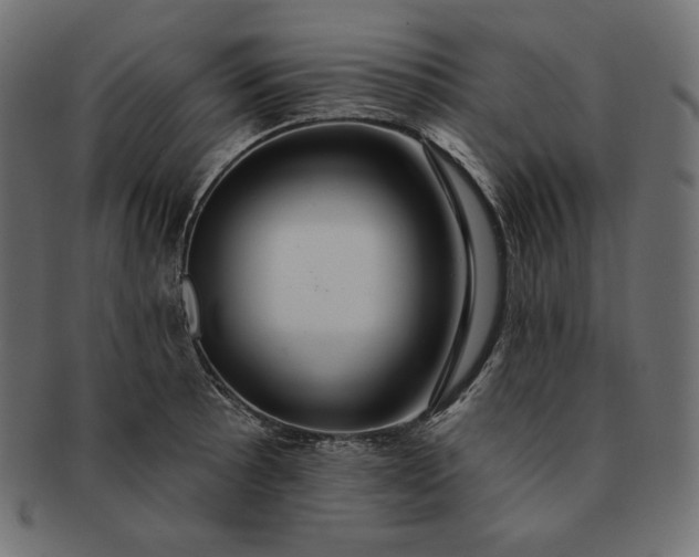 X0000091701089200709071343