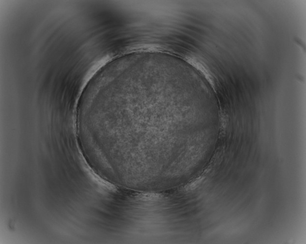 X0000091701090200709071343