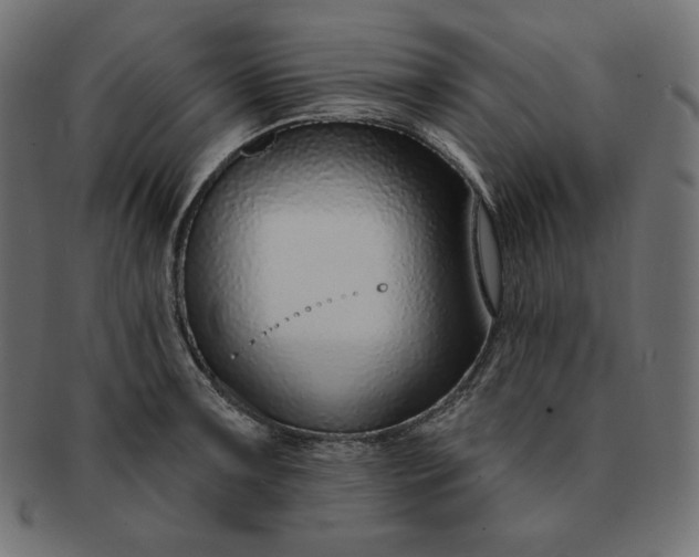 X0000091701091200709071343