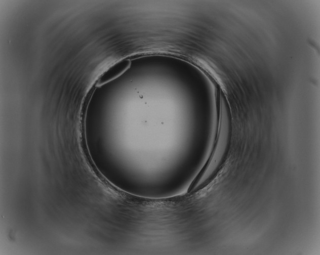 X0000091701093200709071343