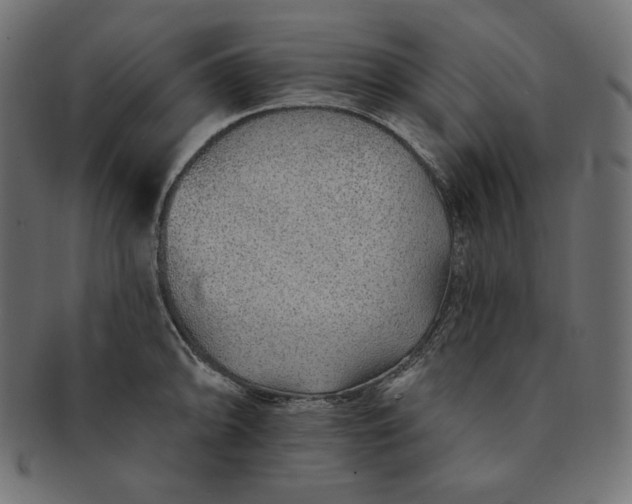 X0000091701094200709071343