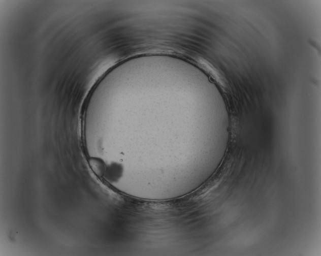 X0000091701095200709071343