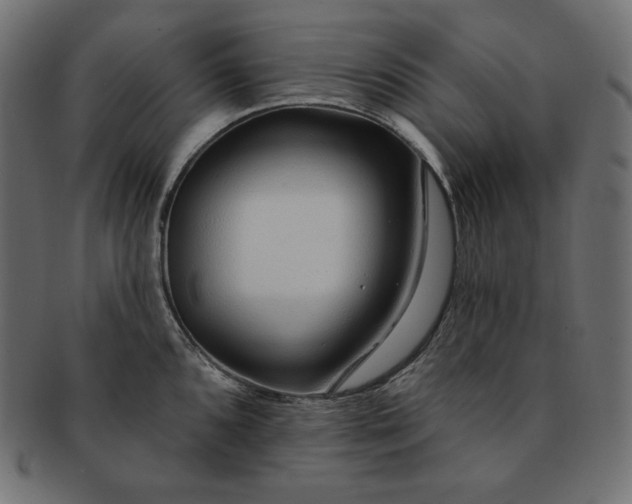 X0000091701096200709071343