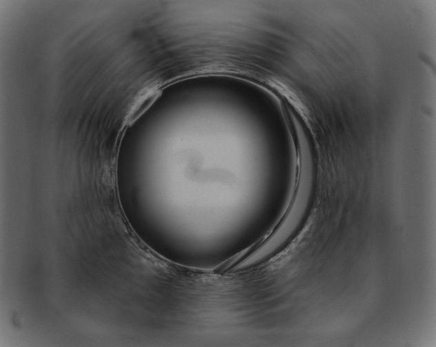 X0000091701097200709071343