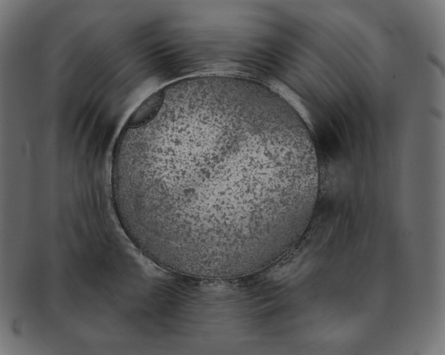 X0000091701099200709071343