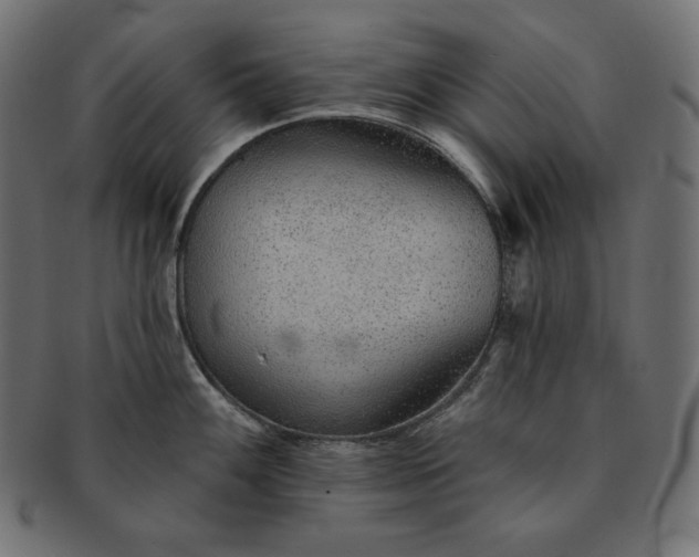 X0000091701100200709071343