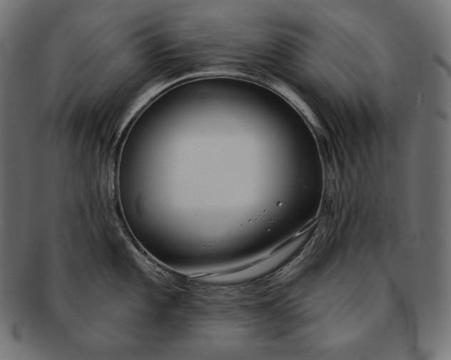 X0000091701101200709071343