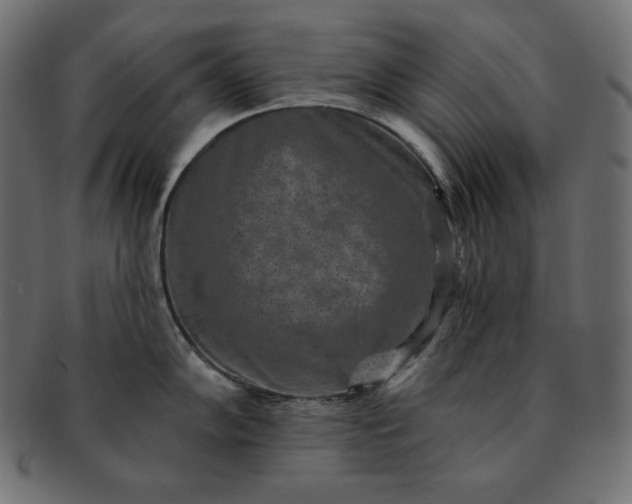 X0000091701102200709071343