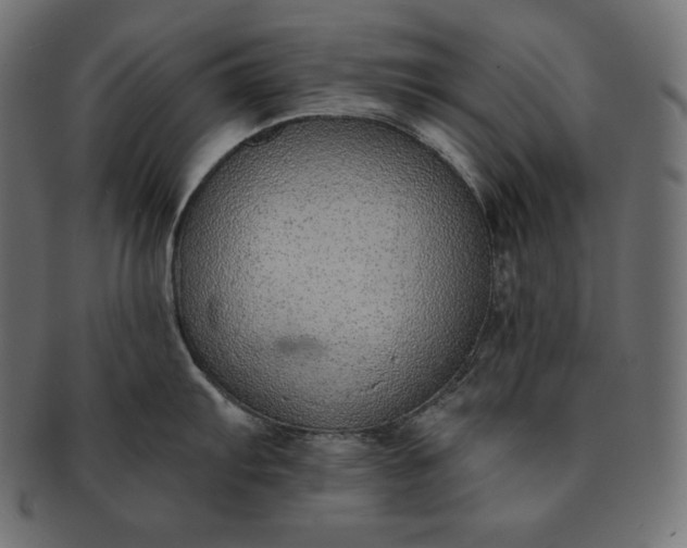 X0000091701103200709071343