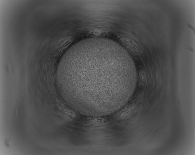 X0000091701105200709071342