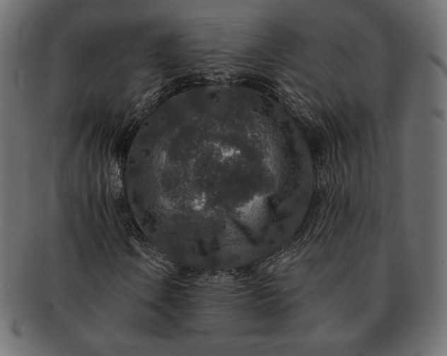 X0000091701106200709071342