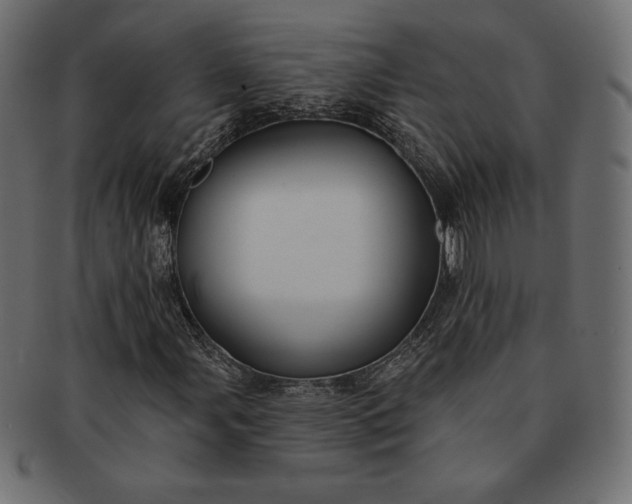 X0000091701107200709071342