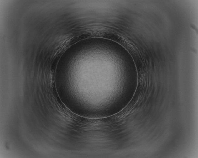 X0000091701108200709071342