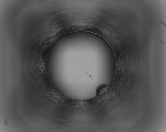 X0000091701109200709071342