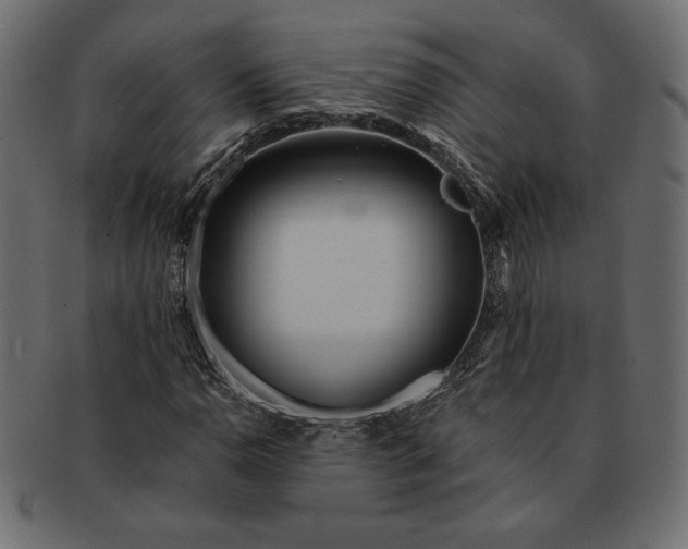 X0000091701110200709071342