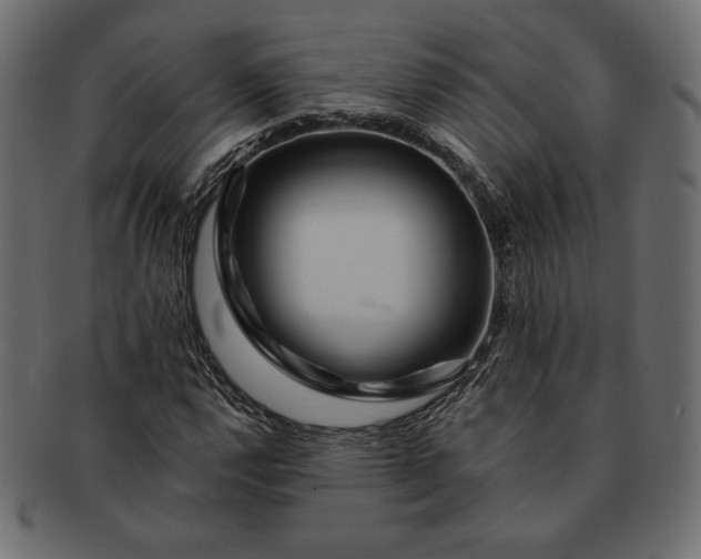 X0000091701112200709071342