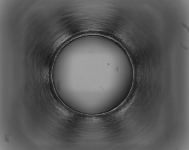 X0000091701113200709071342