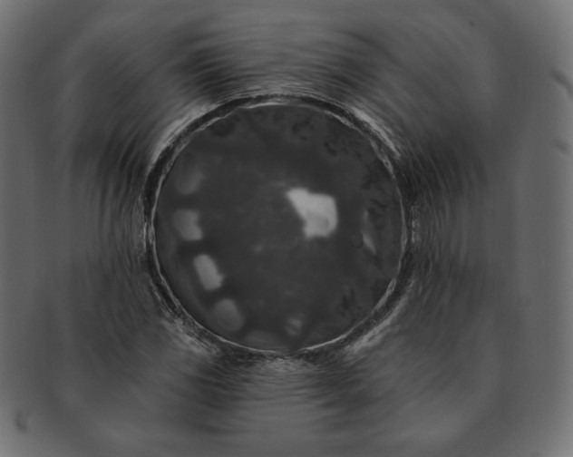 X0000091701117200709071342