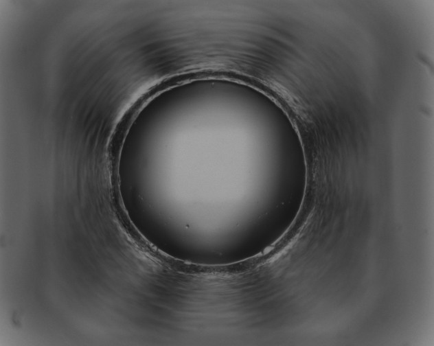 X0000091701118200709071342