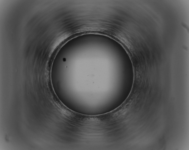 X0000091701119200709071342