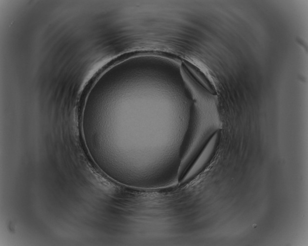 X0000091701120200709071342