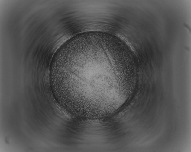 X0000091701121200709071342