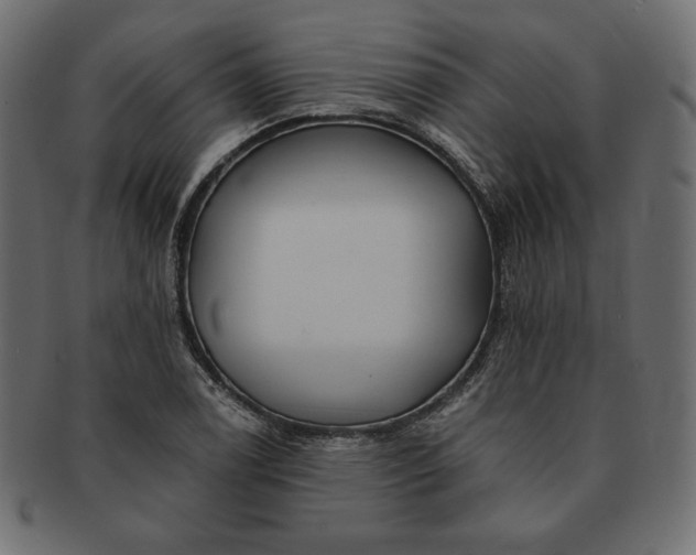 X0000091701122200709071342