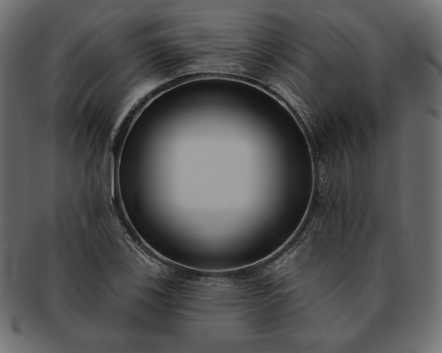 X0000091701123200709071342