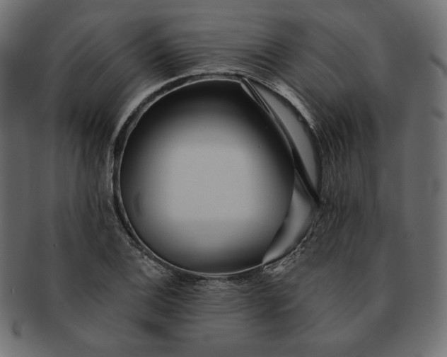 X0000091701124200709071342