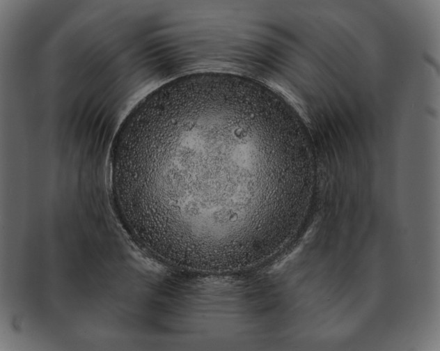 X0000091701125200709071342