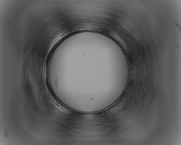 X0000091701130200709071343