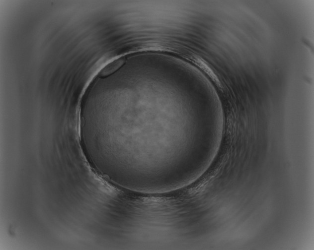 X0000091701132200709071343