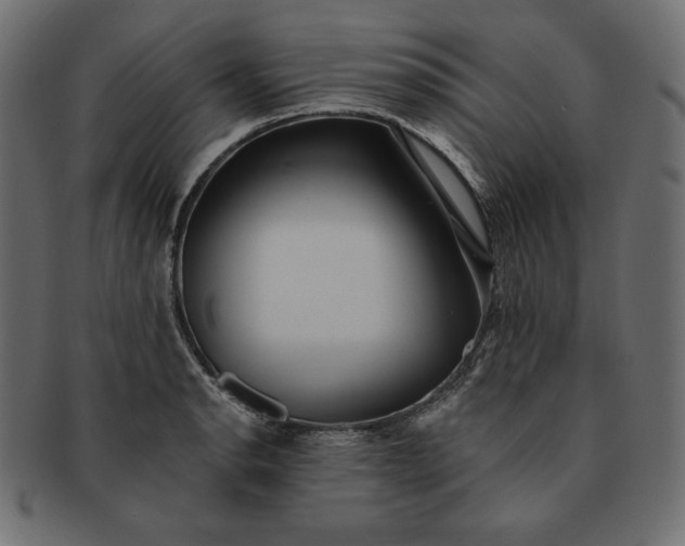 X0000091701134200709071343