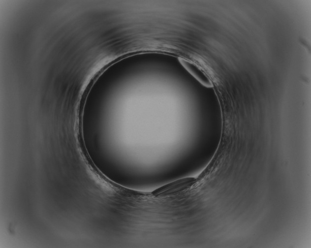 X0000091701136200709071343