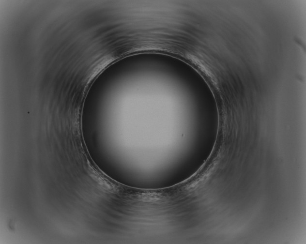 X0000091701137200709071343