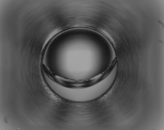 X0000091701138200709071343