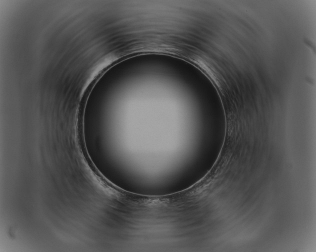 X0000091701139200709071343