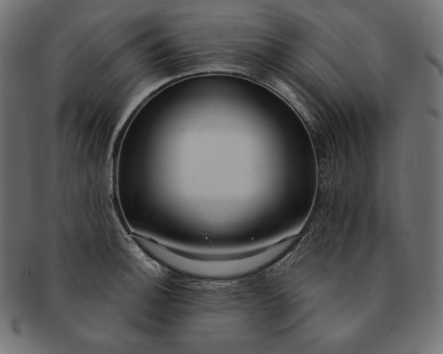 X0000091701140200709071343