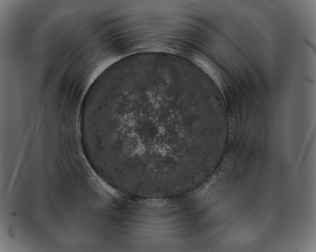 X0000091701141200709071343