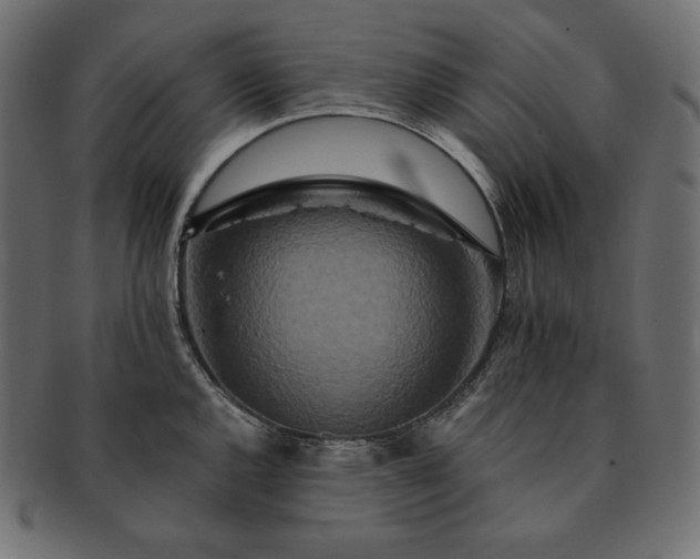 X0000091701144200709071343