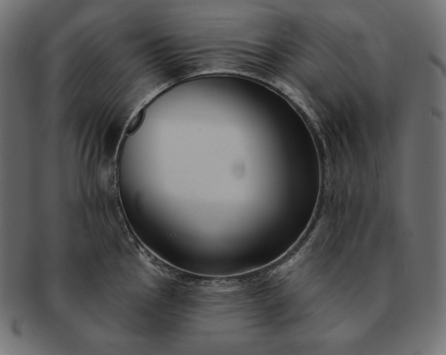 X0000091701145200709071343