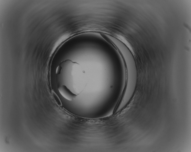 X0000091701146200709071343