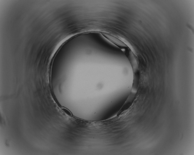 X0000091701148200709071343