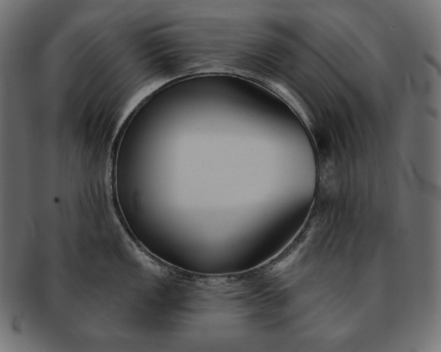 X0000091701149200709071343