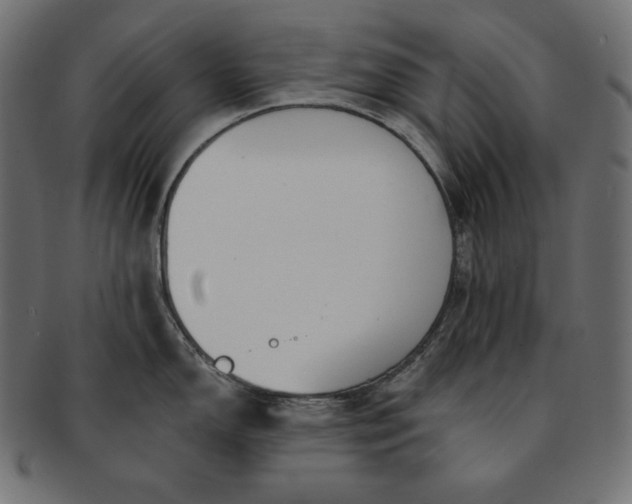 X0000091701150200709071343