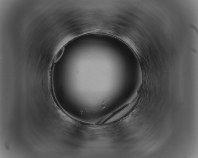 X0000091701151200709071343