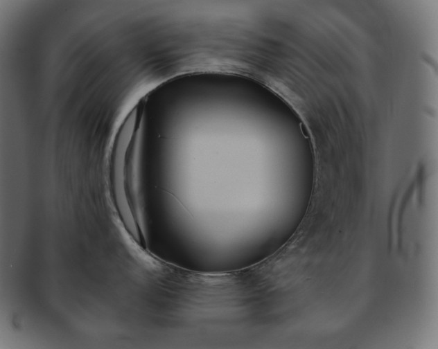 X0000091701152200709071343